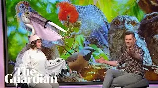 Matilda Boseley sports homemade pelican outfit to talk bird of the year on ABC News Breakfast