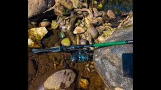 Testing out my 6th Sense Team 6 spinning rod on some Delaware River Smallmouth Bass