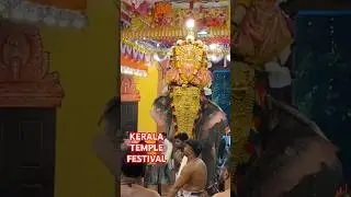 Kerala Temple Festival, #festivalvibes, #elephantvideo, #elephant