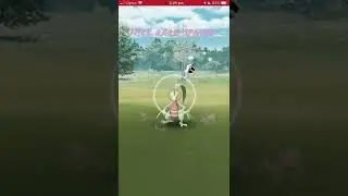 Rare wild Pok&eacute;mon spawn