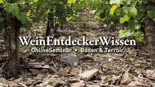 Boden & Terroir &ndash; WeinEntdeckerWissen OnlineSeminar