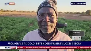 From Grass to Gold : Beitbridge farmers' success story