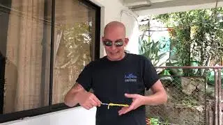 The Quarantini House Ep. 1 Classic Martini