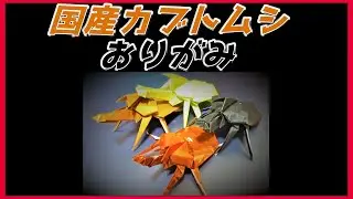 国産カブトムシおりがみ(Allomyrina dichotoma/beetle origami)甲虫折纸/摺紙