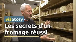 Plongez au cœur d'une cave d'affinage