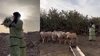 احلا أيام حياتي في هذا  المكان تولدت وهنا تربيت كبرت