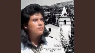Rosa del Campo (Remastered)