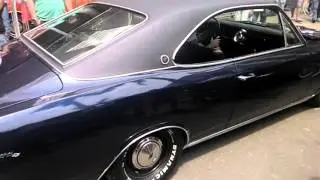 Opala  :3