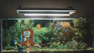 [ASMR] You attend a Kelpy G concert in my fish tank