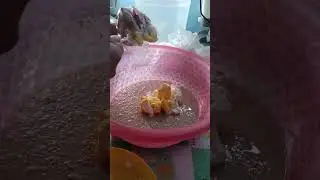 Peanut roll bread