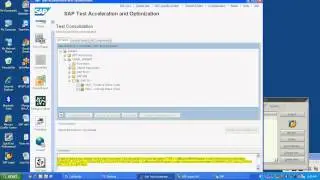 SAP TAO 2.0.7 Live DEMO