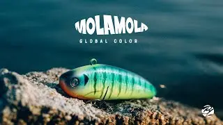 MOLAMOLA GLOBAL COLOR