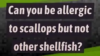 Can you be allergic to scallops but not other shellfish?