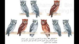 صياغة ملامح النظرية التطورية  ـ الجزء الأول