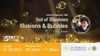 Veil of Illusions - Illusions & Bubbles
