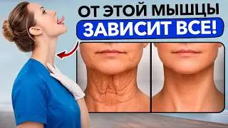 Главная мышца молодости: Как подтянуть шею без уколов и операций