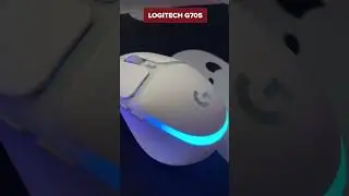 Shorts TOP-5. Best Gaming Mice for Small Hands 2024