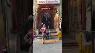 Mathura - Vrindavan Visit | #vlog #viral #vrindavan #vrindavandham #mathuravrindavan #mathura