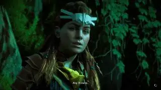 Horizon Zero Dawn&trade; - A Curious Proposal