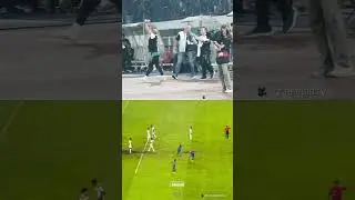 Bench Reaction Assist emosional Ciro Alves pada Tyronne berhasil menjadi Gol #blueblood #persibday