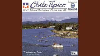 La Consentida
