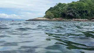 Snorkeling at Ilha de Catagu&aacute;s Reef, Brazil