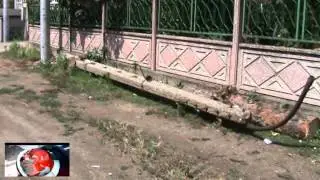 СМЕРЧ ОТНЕСЕ ПОКРИВИ ВЪВ ВИДИНСКО СЕЛО