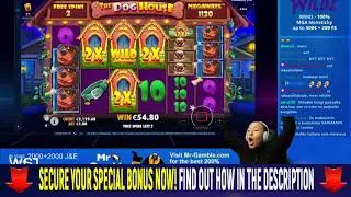 Record Win Buffalo Rising, Book Of Ra, Dog House Mr Green Casino 2021 New