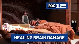 Portland study shows psilocybin may reverse traumatic brain injury effects