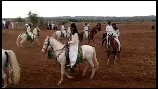 Beautiful Horse Parade In Tatral