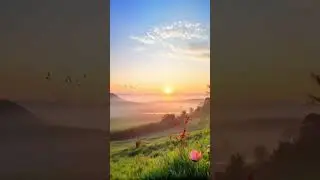 This Sunrise Will Steal Your Breath Away Golden rays spill over misty hills