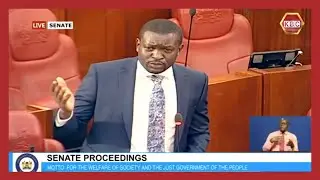 Senator Sifuna to CS Murkomen on why passengers in JKIA are dropped off 100 meters from the terminal