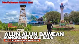 alun alun bawean dan mangrove hijau daun terbaru 2022