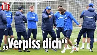 Hertha BSC: Trainer Pal Dardai schmei&szlig;t Ivan Sunjic raus