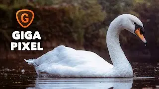 Beginner's upscale in Topaz Gigapixel 8 (stock photo)