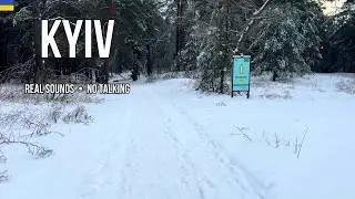 Walking in Snowy ❄️ Trukhaniv Island 🇺🇦 Kyiv Winter 2026 | ASMR Snow Crunch [4K]