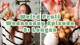 Weird Fruit Wednesday Episode: 5 Longan