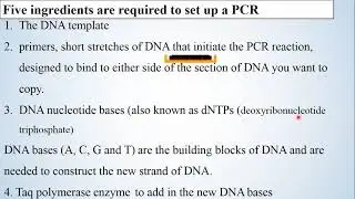 PCR online