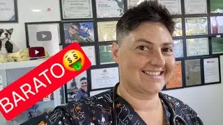 PIPETA BARATA