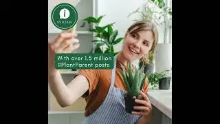 Flower Trends Forecast - Home is Where Your Plants Are - Plant Parenthood Inform