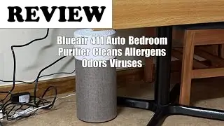 Blueair Blue Pure 411 Air Purifier Review: Compact and Easy for Small Rooms 2026