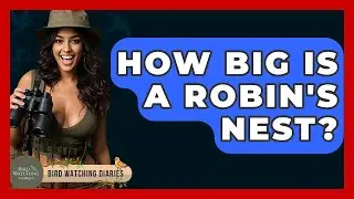 How Big Is A Robin's Nest? - Bird Watching Diaries