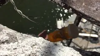 neat geocache on The Cumberland River