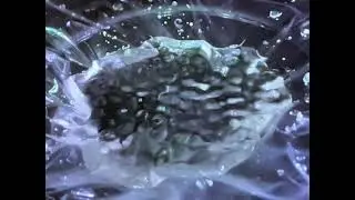 Water on Subwoofer - Cooper Wyrick