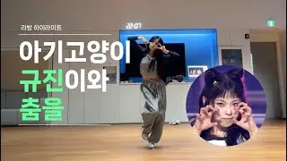 [엔믹스] 아기고양이 규진이와 춤을 (라이브 하이라이트)