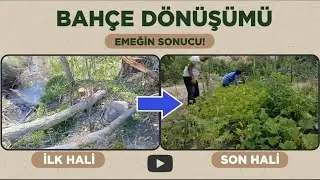 15 Dakikada Sıfırdan Bahçe Kurulumu / Garden setup from scratch in 15 minutes