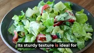 Romaine Lettuce Nutrition
