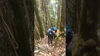 Scary Forest😱😨 || Forest Adventure || #shorts #ytshorts #adventure