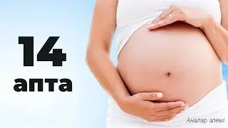 Беременности 14 неделя: чувства, признаки, советы [мир Мамы]
