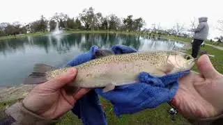 Simple Trout Rig at Work in Elk Grove Pond